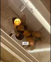 Fotografie 3