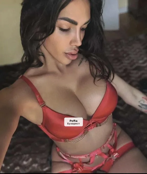 Karina, forme apetisante și experiență