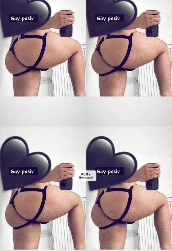 Gay Pasiv - Deplasări Hotel sau Pensiune
