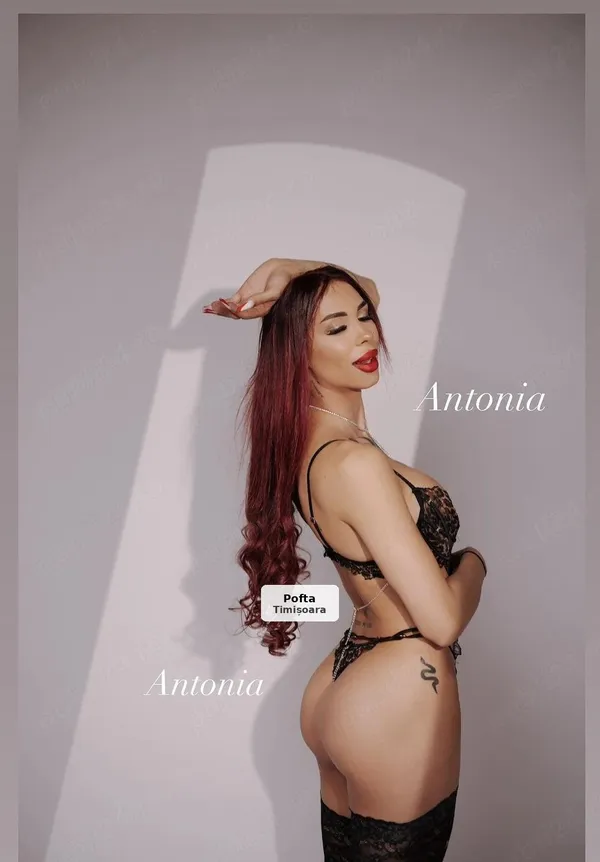 Antonia, transsexuală nouă în oraș