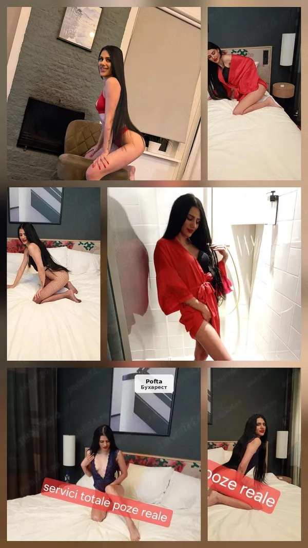 Stylish Brunette Escort