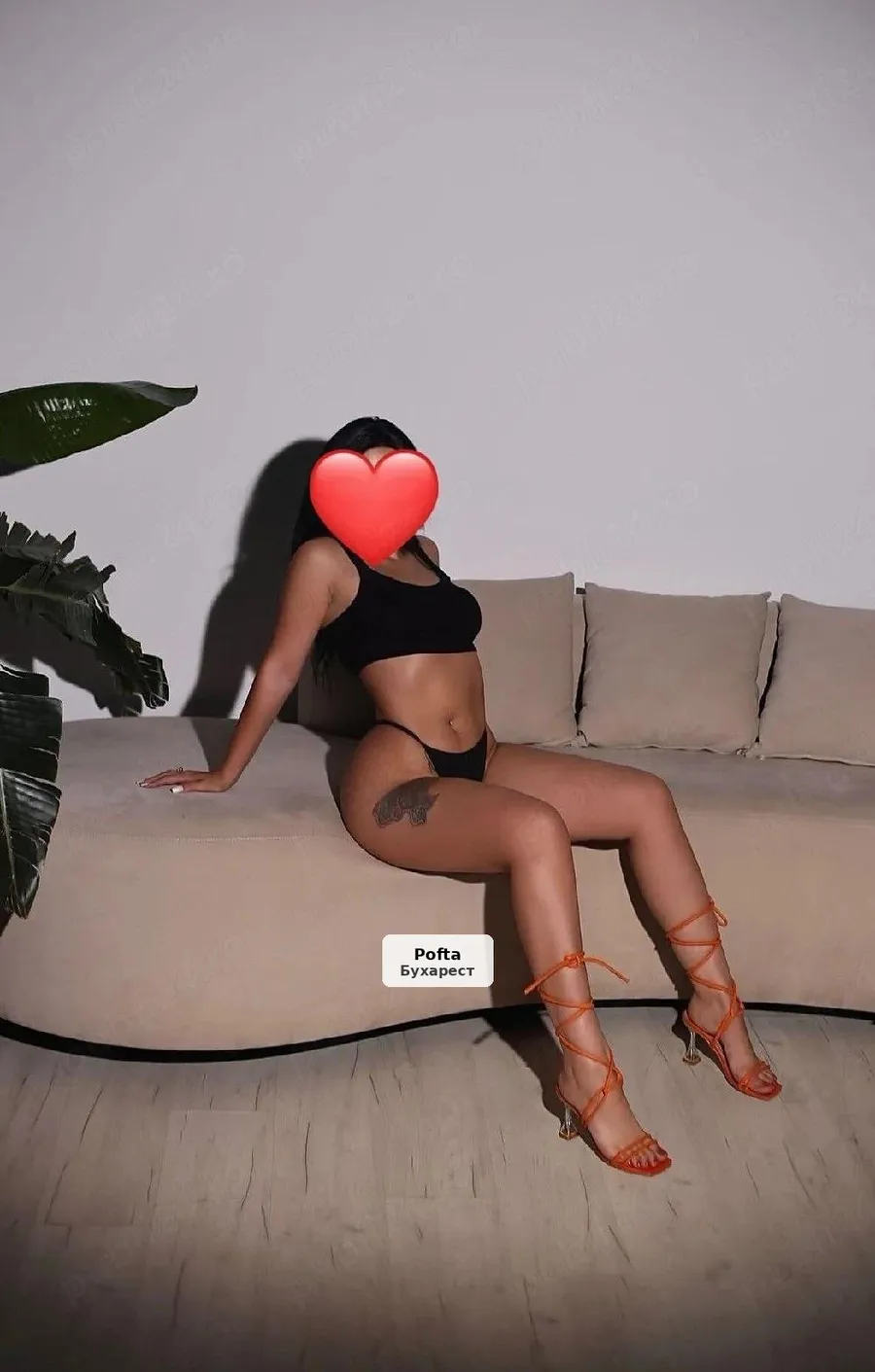 Sexy Starlet, 20 years old - 1/2
