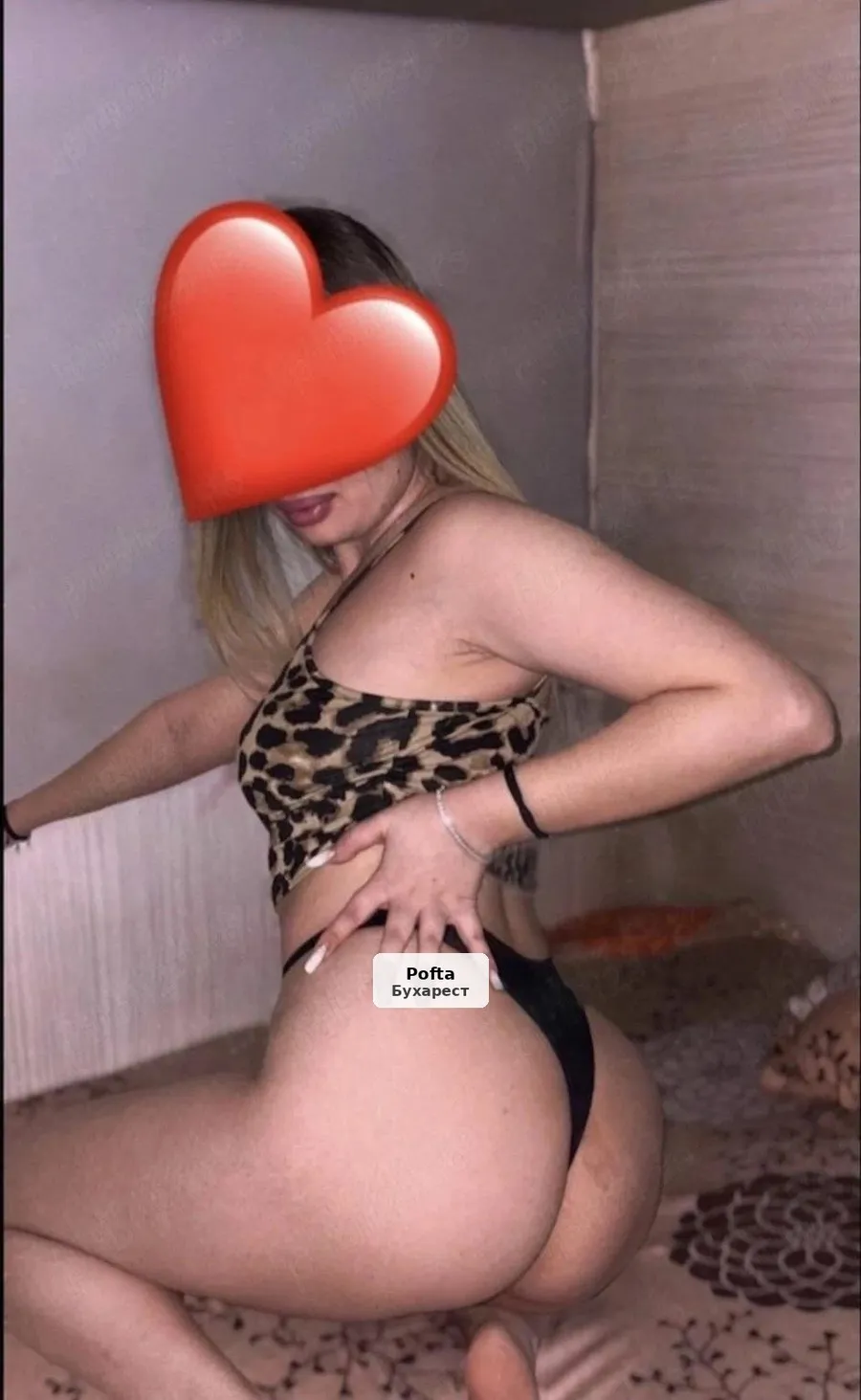 Alina - Companie intimă de calitate - 1/3