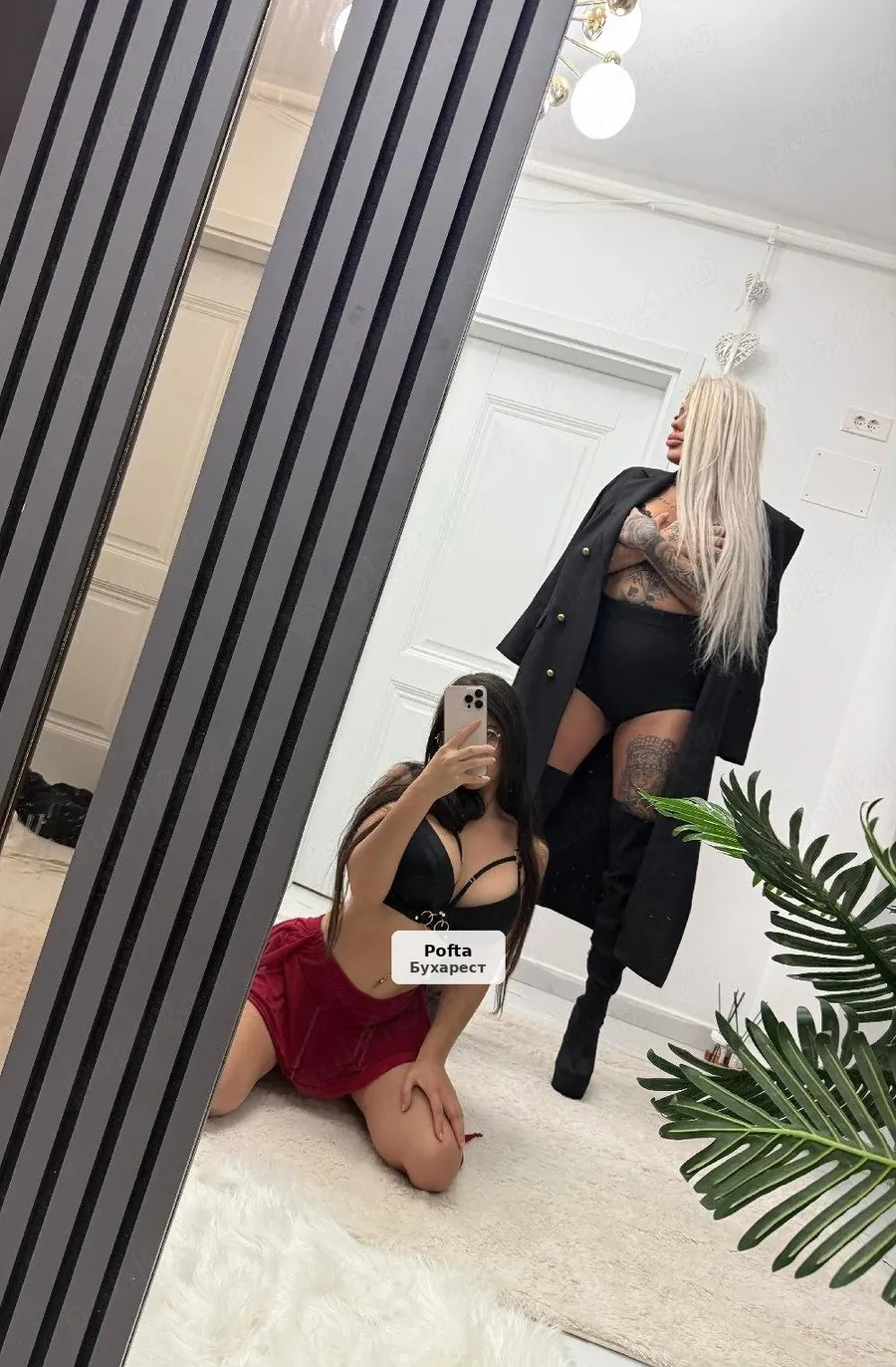 Your Perfect Mistress and Friend - 1/3