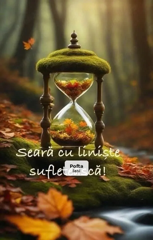 Masaj de relaxare în Iași - 1/1